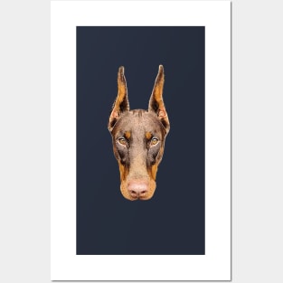 Doberman Head Art Posters and Art